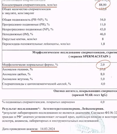 Кейс 3: спермограмма после курса — морфология 2% от 88 млн